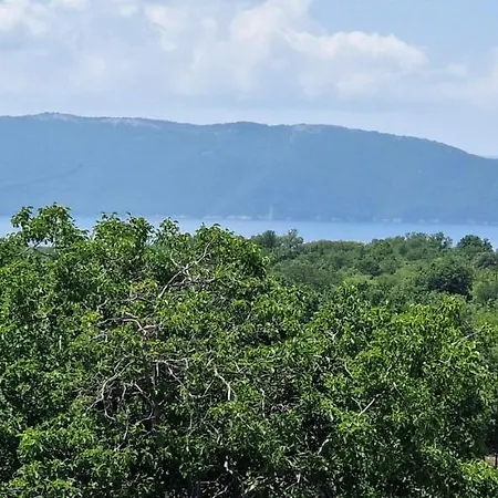 아파트 Pinezic Skrbčići