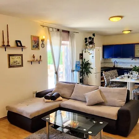 Apartment Pinezic
