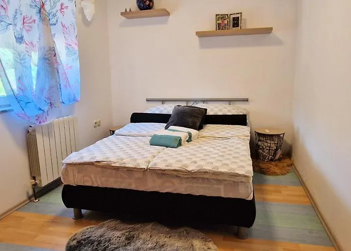 Apartman Pinezic *