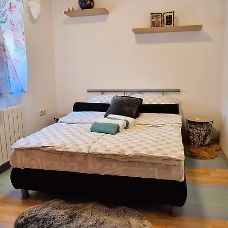 Apartman Pinezic *