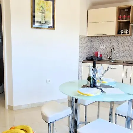 Pinezic Apartman Skrbčići